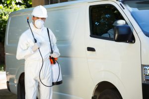 pest control